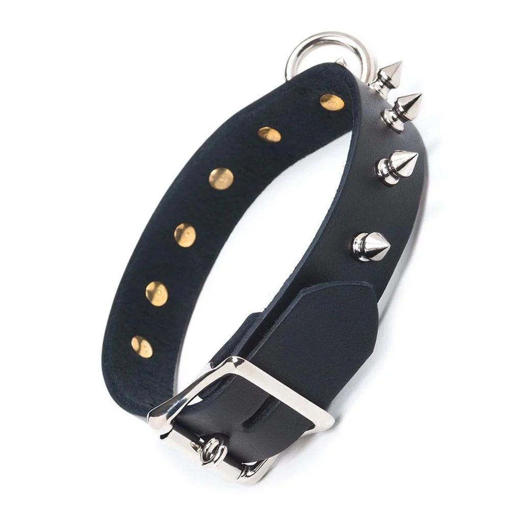 Leather Collar with Spikes - Image 5