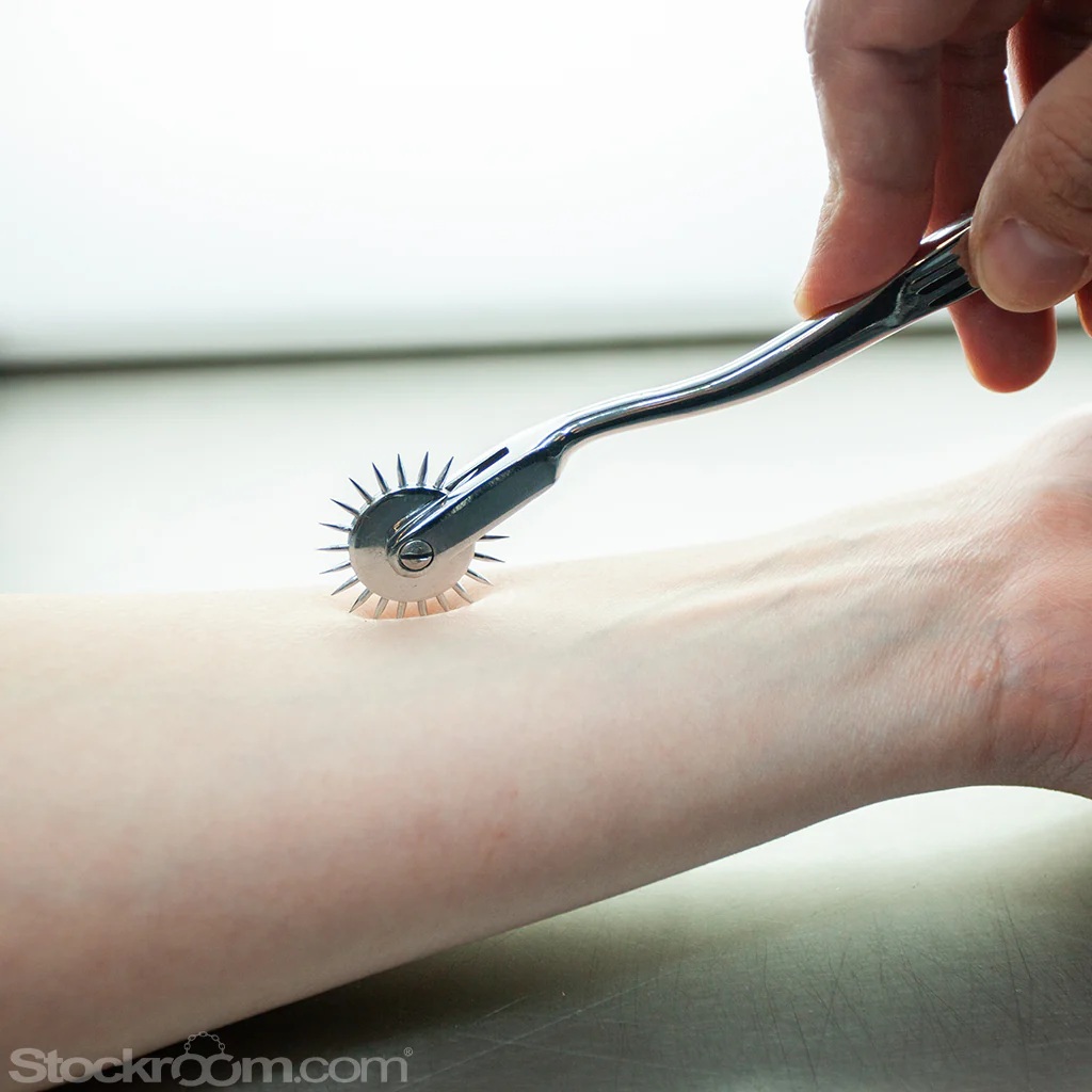 Wartenberg Pinwheel - Image 3